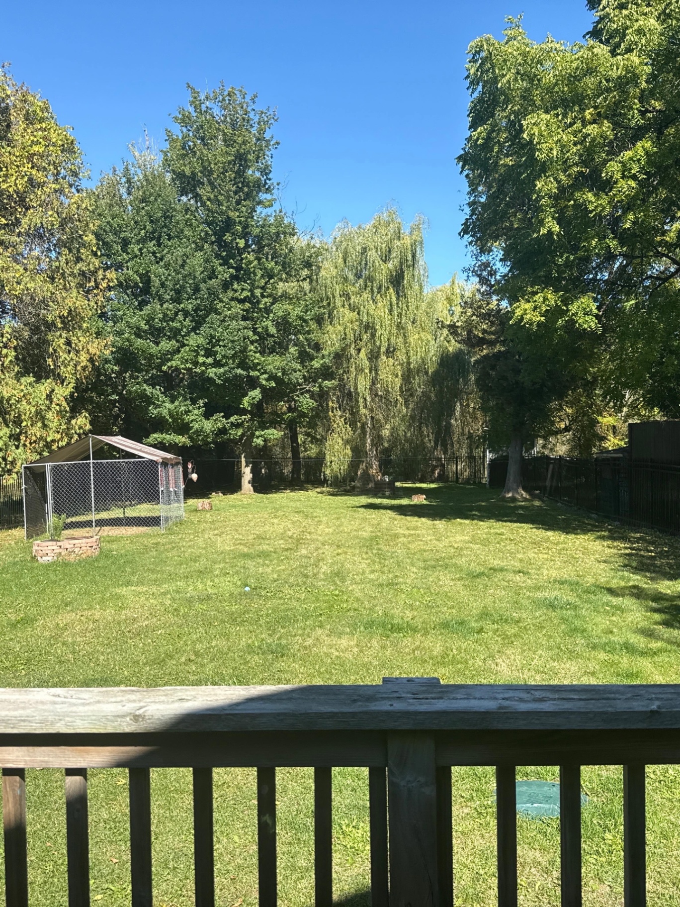 Spacious fenced backyard with green lawn, mature trees, and a shaded play kennel