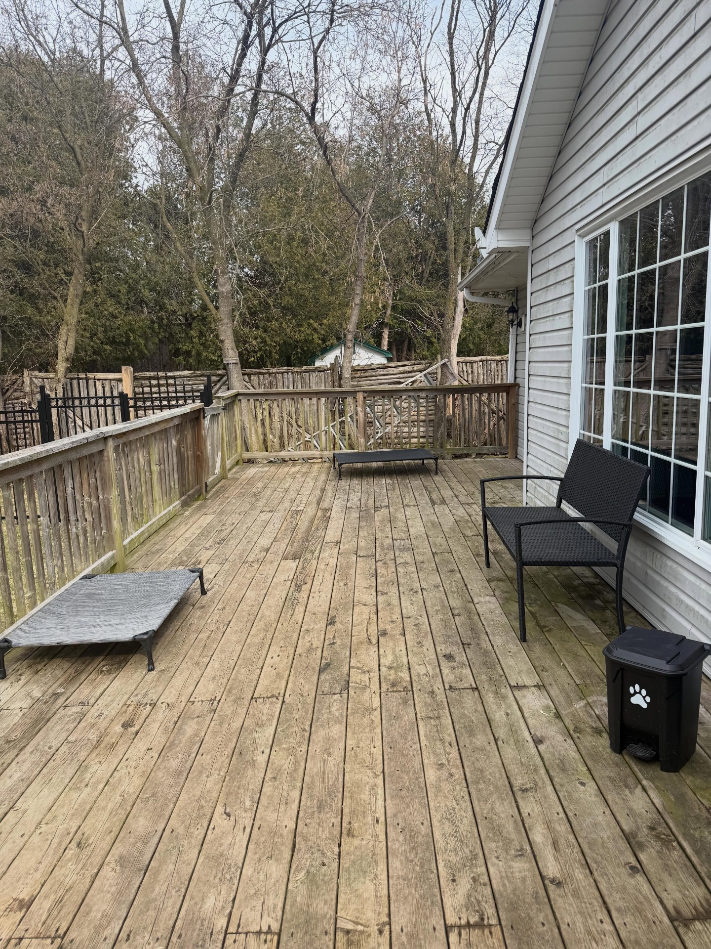 Wooden deck with raised dog beds